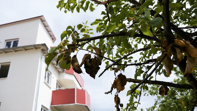 Klimaschutzgesetz Massivbau Klimaschutzgesetz Massivbau